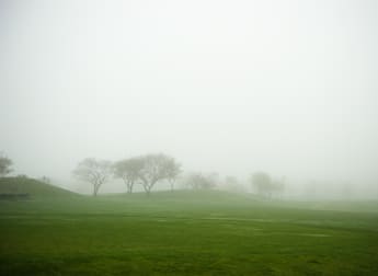 Foster leads before fog suspends play