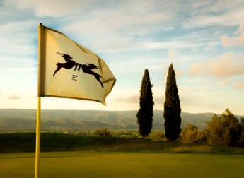 Hopps Open de Provence: In Numbers