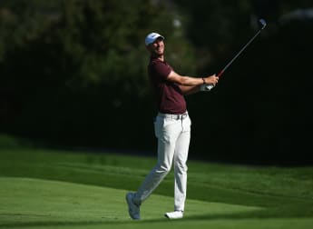 Solid Wood sets pace in the Netherlands