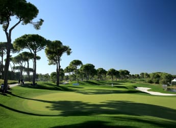 Fantasy Five To Watch in Turkey 