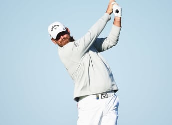 Bjørn enjoying home comforts