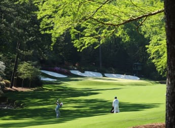 The World has Georgia on its mind