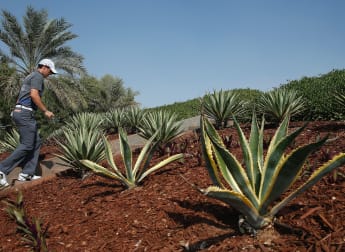 Inside Abu Dhabi Golf Club