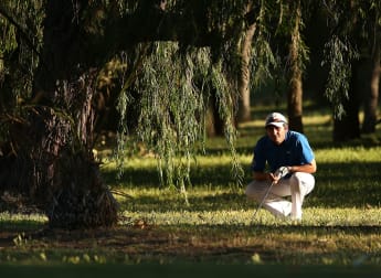 Fight for cards intensifies