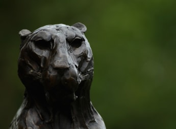 A guide to taming Leopard Creek