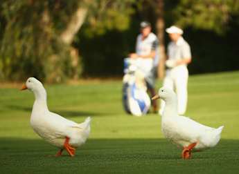 Day One in Numbers: Turkish Airlines Open