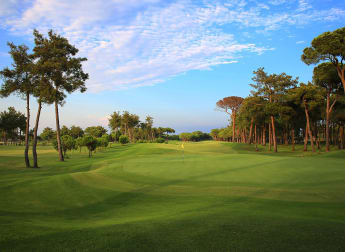 Turkish Airlines Challenge: in numbers