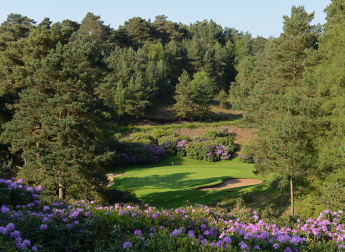 Travis Perkins Masters - in numbers