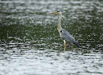 Day 1 in numbers: BMW SA Open Championship Proudly hosted by the City of Ekurhuleni