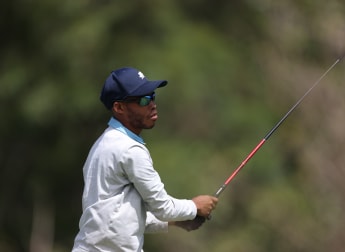 Franklin MANCHEST 43177