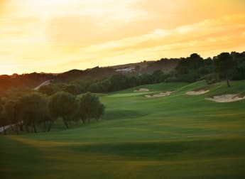 NH Collection Open offering free entry