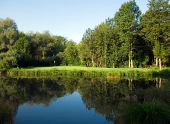 Get to know: Ebreichsdorf