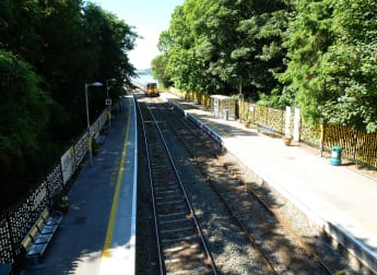 Take the train to Fota Island