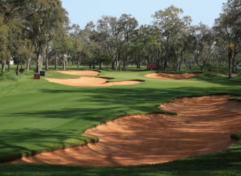 Blue is the colour for Morocco tournament