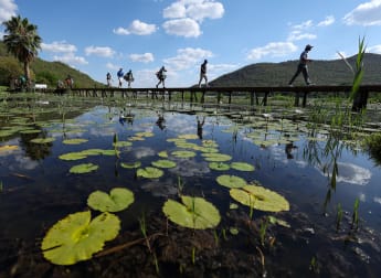 Nedbank Golf Challenge - Day three digest