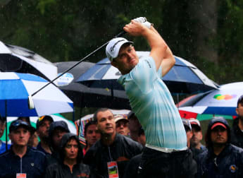 Late flourish leaves Rose well placed