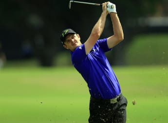 Rose flowers in Florida