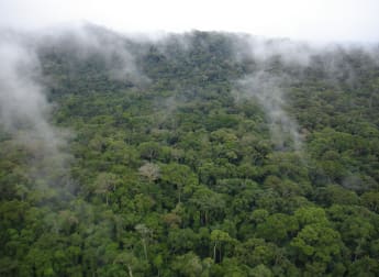 Aberdeen Standard Investments to offset all player and caddie travel to and from the Scottish Open