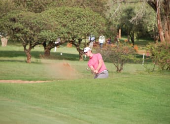 Brandon flowers in Kenyan sun