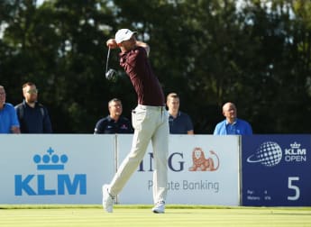 Wood loving life at The Dutch