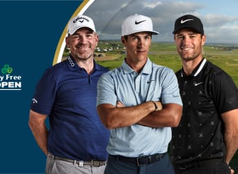 Great Danes set for Irish shores