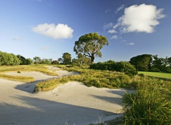 Tickets on sale for World Cup of Golf