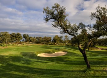 Get to know: Ribagolfe