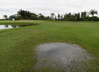 Genworth Stats Pack - Day 3 Review