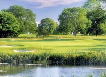 Spectator Information 