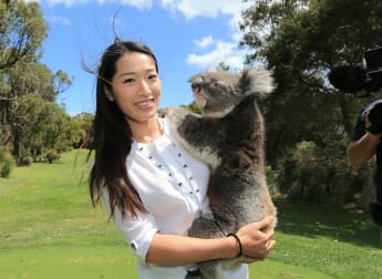 Swimming with Koalas...