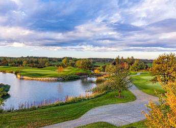 Rosa Challenge Tour: Tournament Guide