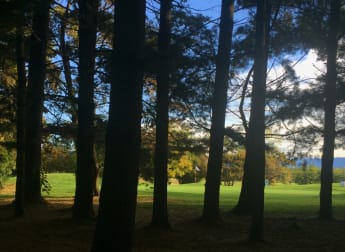 LIVE: Senior Italian Open Presented by Villaverde Resort Round Three