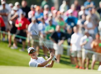 Rose blooming early at Augusta