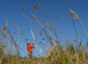 Jiménez targeting Major history