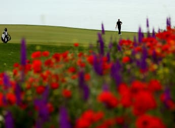 The AM winners - what they said