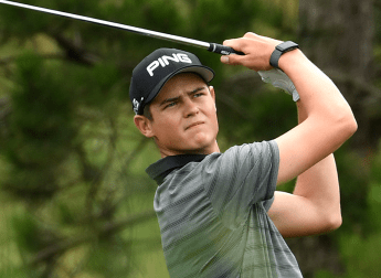 Wilco NIENABER 43143