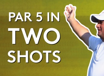 Best albatrosses on Tour 