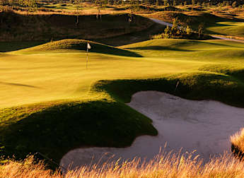 Everything you need to know about the KLM Open