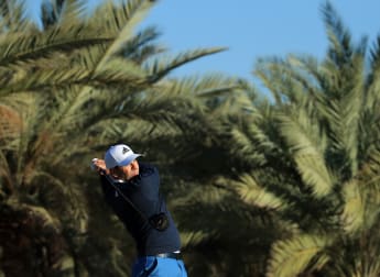 Stars shining early in the desert