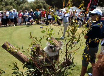 Day three digest: 2020 ISPS Handa Vic Open