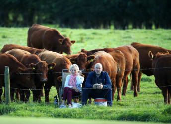 Ballymena bovines enjoy the golf on mooooving day