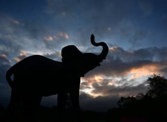 Day three digest: 2021 Magical Kenya Open presented by Johnnie Walker