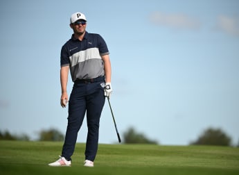 Expert Picks: Made in HimmerLand