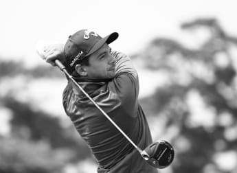 David Micheluzzi - Player Blog