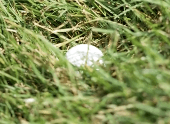 Why the rough at Wentworth could prove 'good precursor' for Ryder Cup