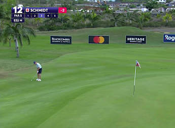 Schmidt chips in for eagle