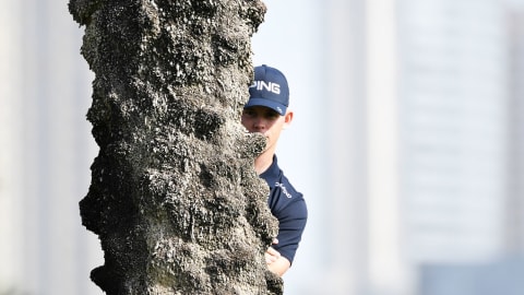 Brandon Stone lurks behind a tree 