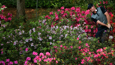 Rory McIlroy hits a shot out of the azaleas behind the 13th green at the 2014 Masters / Credit: Andrew Redington