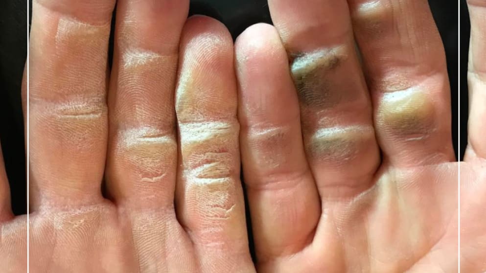 photo of the year - noren