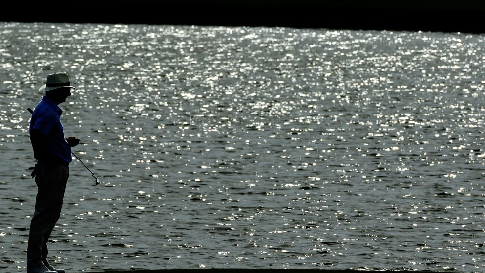 Photo of the Year - Mark Mouland